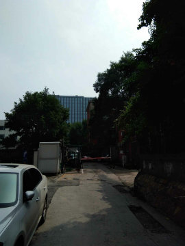 实景图