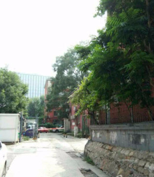 实景图