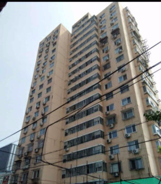 实景图