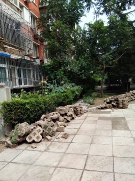 实景图