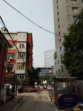 实景图
