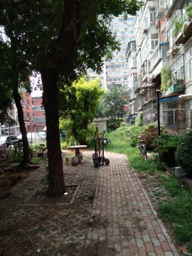 实景图