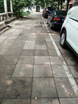 实景图