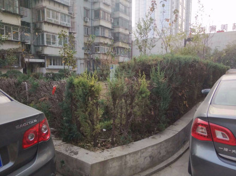 实景图