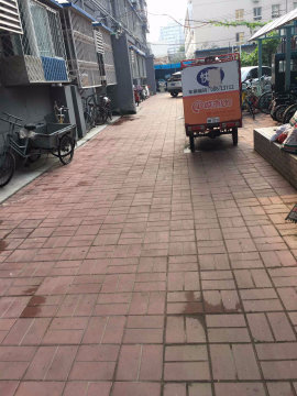 实景图