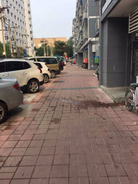 实景图