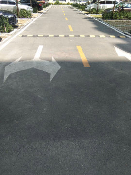 实景图
