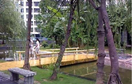 实景图