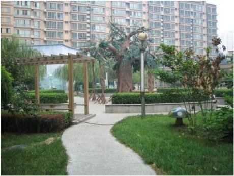 实景图
