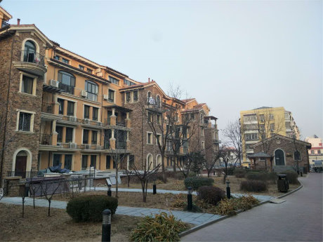 实景图