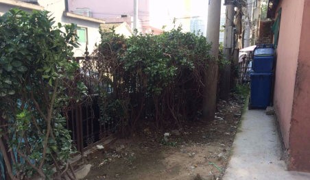 实景图