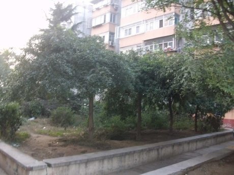 实景图