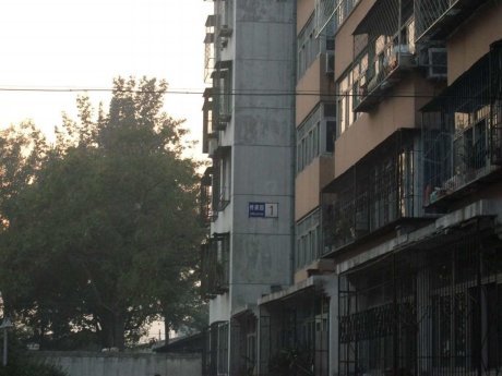 实景图