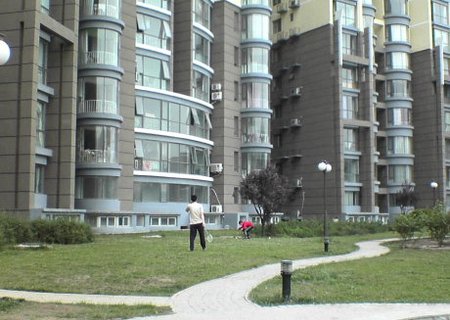 实景图