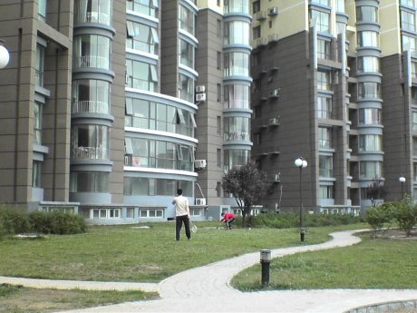 实景图