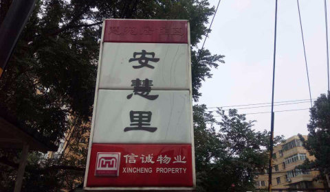 实景图