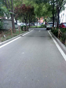 实景图