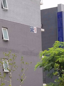 实景图