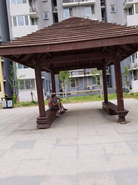 实景图
