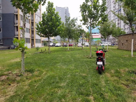 实景图