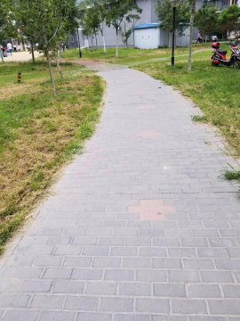 实景图