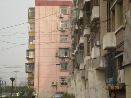 实景图