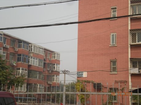 实景图