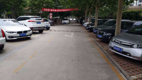 实景图