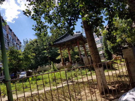 实景图