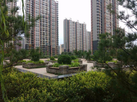 实景图