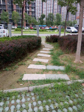 实景图