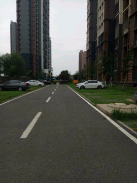 实景图
