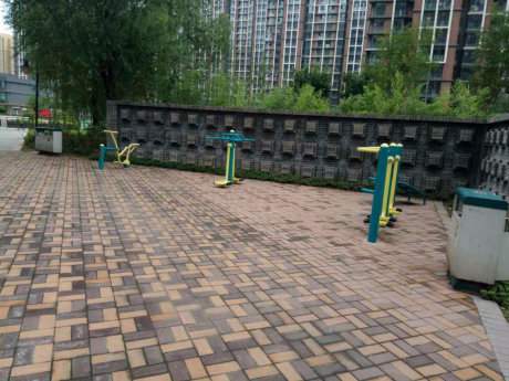 实景图