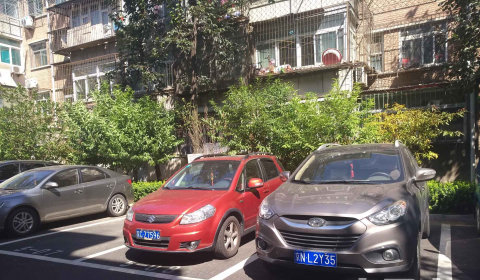 实景图