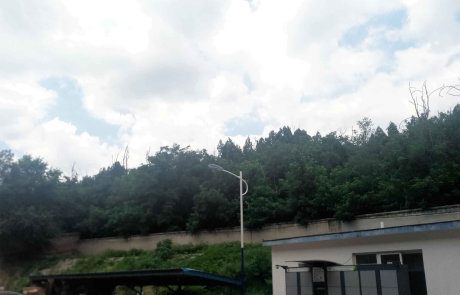 实景图