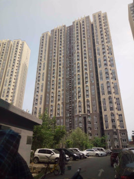 实景图