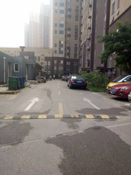 实景图
