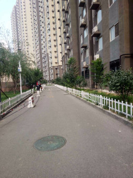 实景图