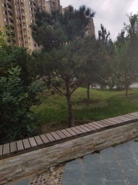 实景图