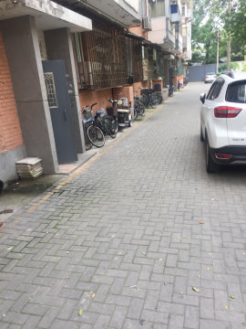 实景图