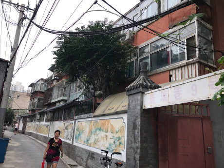 实景图