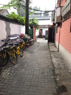 实景图