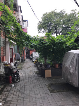 实景图
