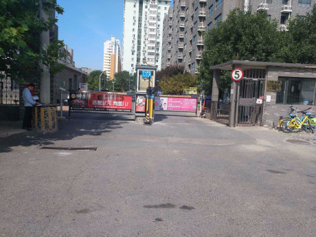 实景图