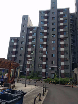 实景图