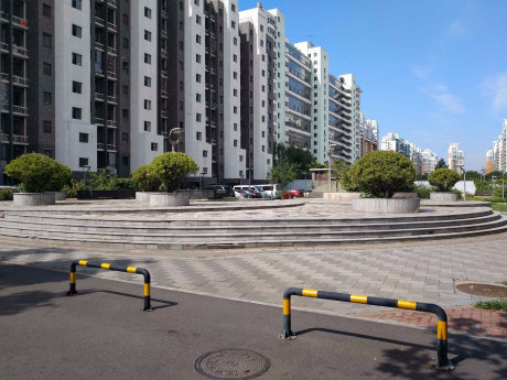 实景图