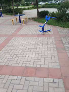 实景图