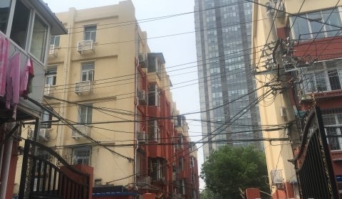 实景图