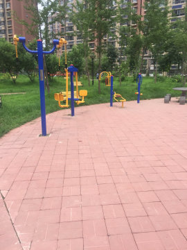 实景图