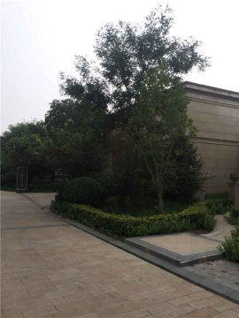 兴创屹墅29号楼103室（联排别墅）